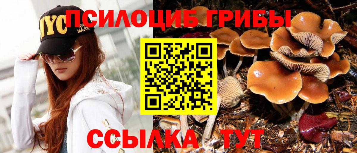 Псилоцибиновые грибы Magic Shrooms Переславль-Залесский