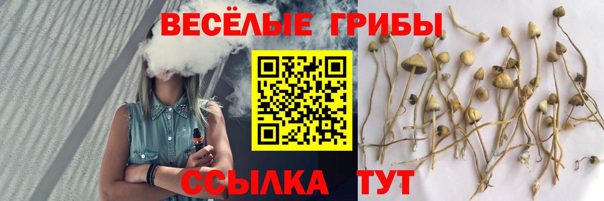 Псилоцибиновые грибы Magic Shrooms  Вход с VPN  Переславль-Залесский 